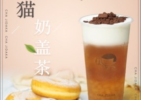球客直播 ：熊猫奶盖茶