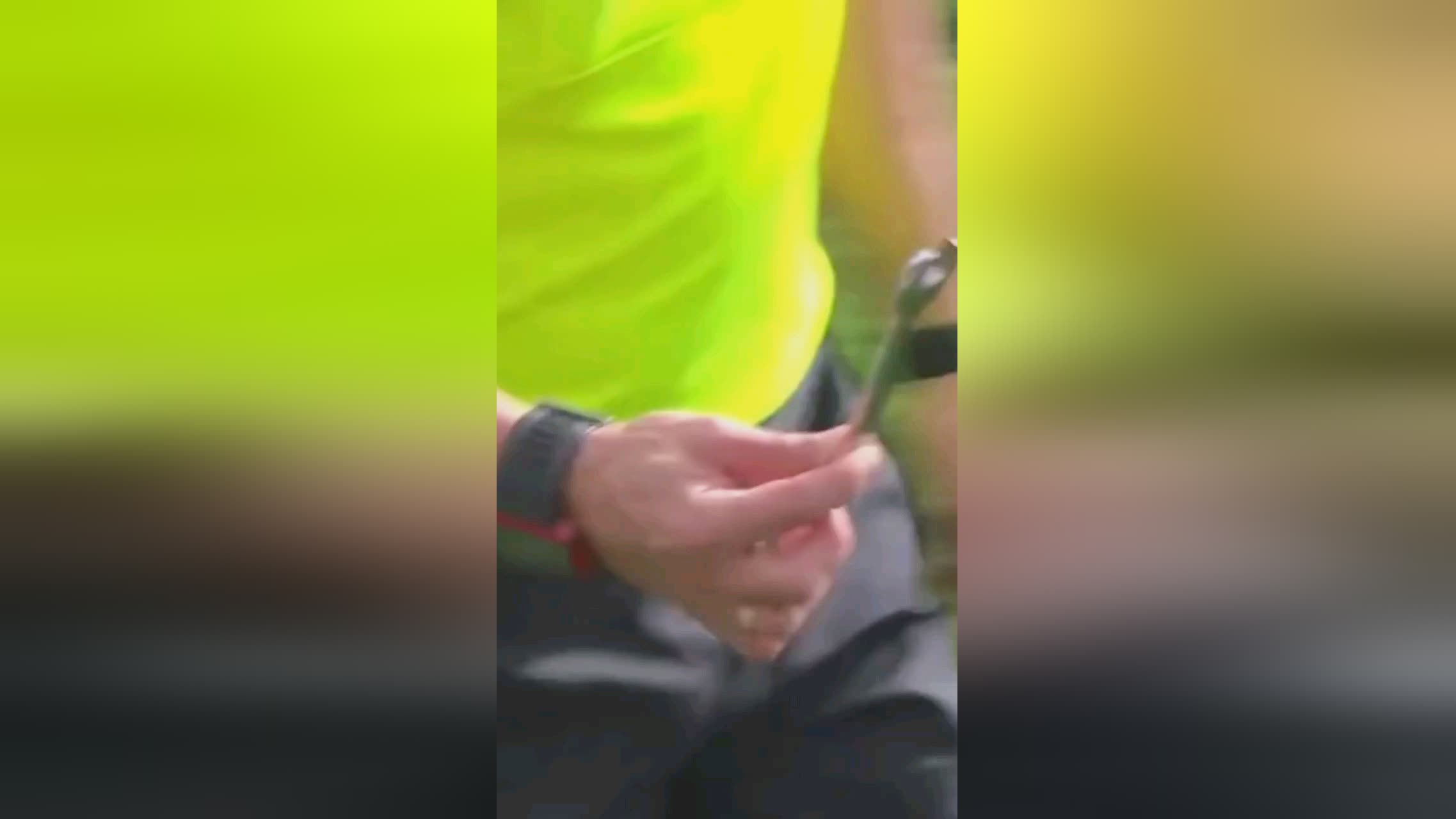 就也是
